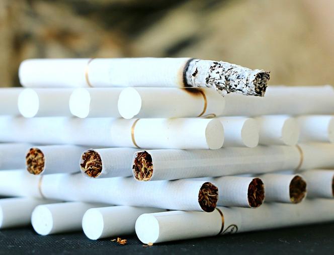 W ciągu roku przejęli papierosy i tytoń o wartości ponad 24 mln zł 