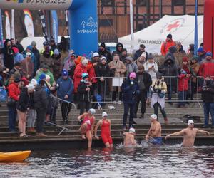 FOCUS Ice Swimming Bydgoszcz Festival 2023 [ZDJĘCIA]