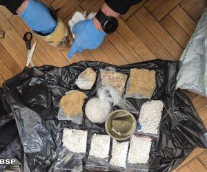 Z Polski do Ukrainy w psiej puszce! Mafijny szlak metamfetaminy przerwany