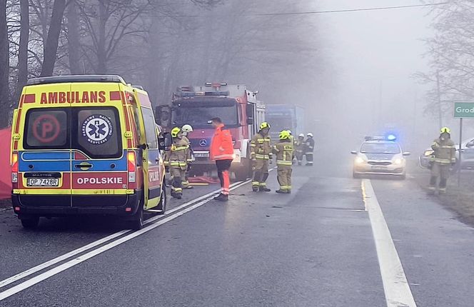 Wypadek śmiertelny w Grodźcu na DK 46