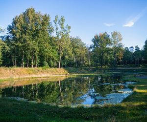 Rów Kalny w Sosnowcu znajduje się w Parku Tysiąclecia
