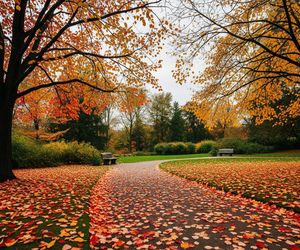 Ogród Botaniczny Wrocław zamyka sezon. Co zobaczysz w ostatnich dniach?