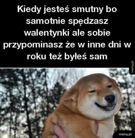 Najśmieszniejsze memy na walentynki 14 lutego 2023