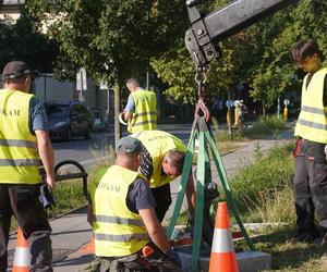 Smok Astronom przy ul. Kopernika naprzeciwko Ogrodu Botanicznego UJ