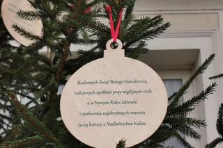 Kalisz. Udekorowana choinka stanęła na środku rzeki 