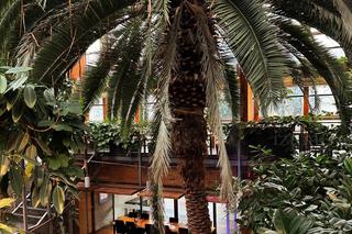 Izumi Sushi Biały Kamień 