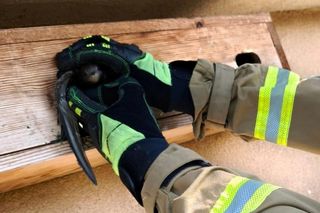 Strażacy uratowali jerzyka