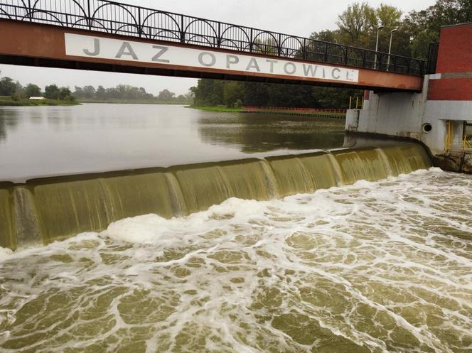 Ulewne deszcze nad Polską. Przybywa wody w rzekach 