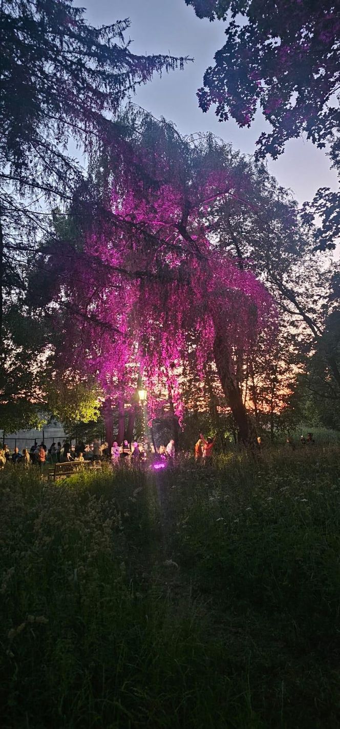 Park Świateł