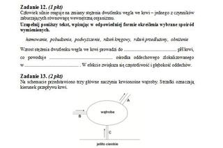 Matura 2013 biologia p. podstawowy