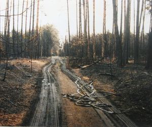 Pożar lasu w Kuźni Raciborskiej w 1992 roku