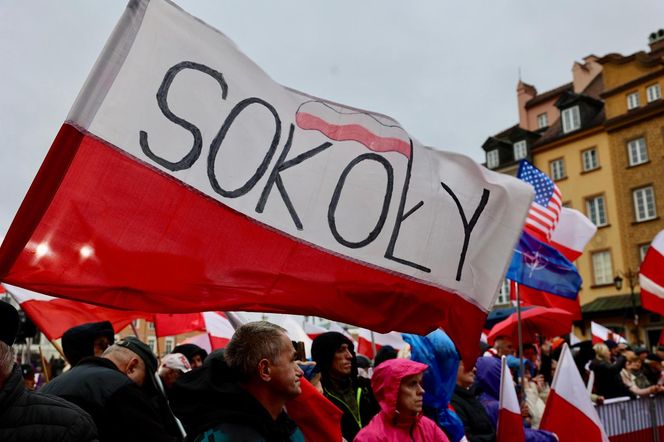 Marsz PiSu w Warszawie
