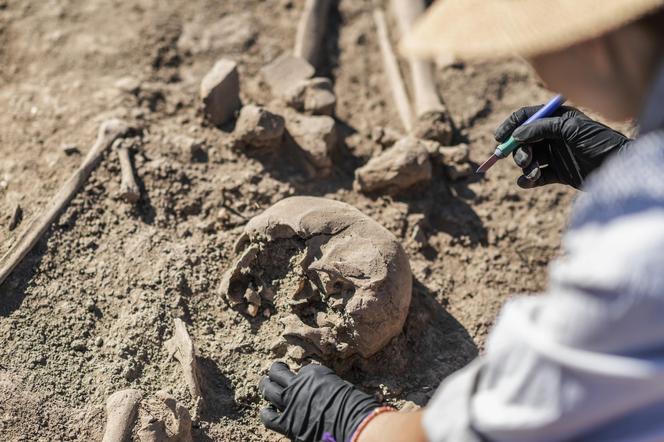 fragment wykopalisk, szkielet oczyszczany przez archeologa