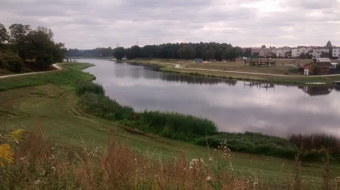 Najlepsze miasto do zamieszkania w Łódzkiem według AI