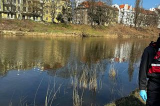 Na miejsce wezwano służby 