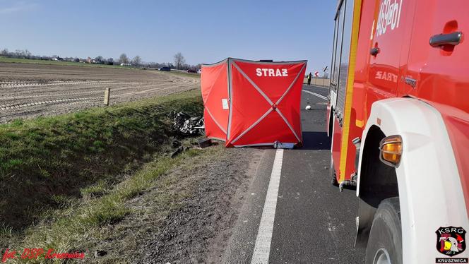 Jechali z dziadkiem na wycieczkę. Zginęli w zderzeniu z tirem