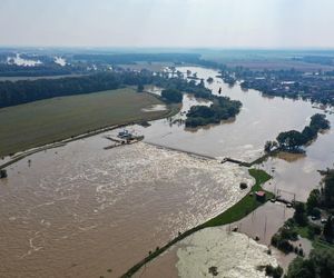 Tak wygląda Oława w czasach powodzi 2024 roku. Poruszający materiał