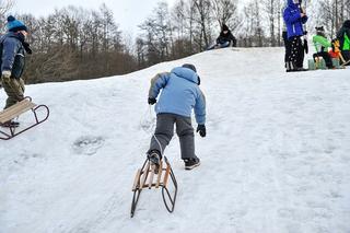 Pogoda na tydzień 1-7.02.2021 - mróz utrzyma się do środy, zima wróci w weekend [PROGNOZA]