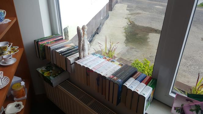 Charity Shop, czyli sklep charytatywny w Sosnowcu