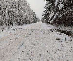 Wieś Szałas w gminie Zagnańsk