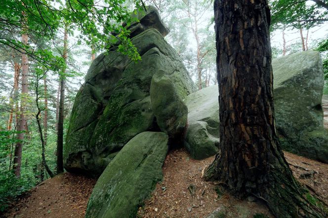 Nowe uzdrowisko w Małopolsce Ciężkowice