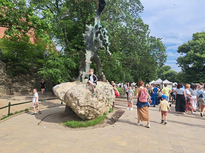 Smoczy Piknik Rodzinny 2025 w Krakowie