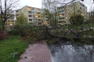 Burza w woj. lubelskim