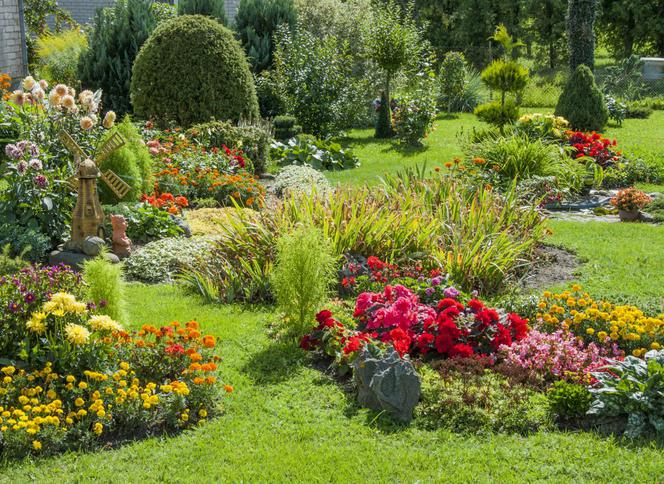 Kolorowy ogród
