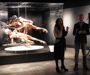 Wystawa z ludzkiego ciała. Body Worlds powróciła do Gdańska po 5 latach 