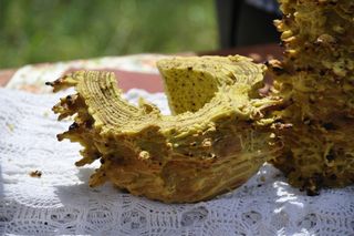Tu robią najlepsze sękacze na Podlasiu! Sprawdź te sprawdzone miejscówki