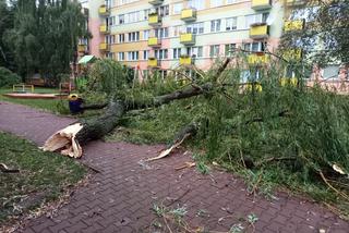 Przez Lublin przeszła potężna nawałnica. Trwa usuwanie skutków [ZDJĘCIA]