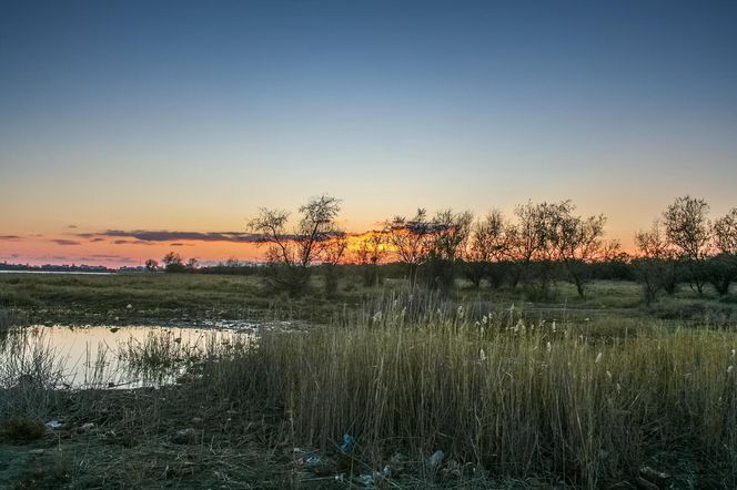 Jezioro Maltańskie