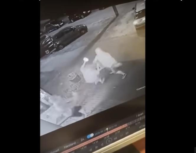 Za sprawcą BRUTALNEGO POBICIA EKSPEDIENTKI Żabki w Radomiu sąd wydał Europejski Nakaz Aresztowania!