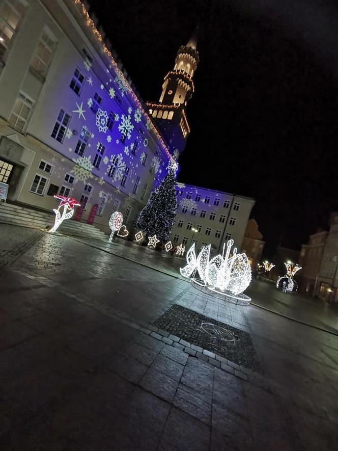 Opole. Świąteczny klimat na RYNKU! Zobacz, jak wygląda centrum miasta na Święta! [ZDJĘCIA]