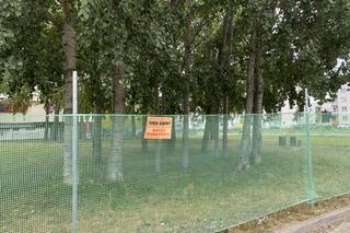 Park Lawendowy w Białymstoku