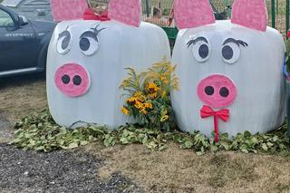 Sprawdź te wyjątkowe dekoracje ze słomy. Wielkopolanie mają talent