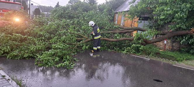 Burzowa noc w regionie Świętokrzyskim! Grad, połamane drzewa, zalane ulice