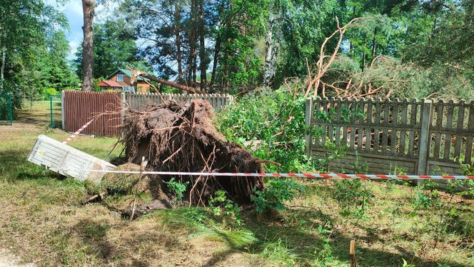Burze nad województwem łódzkim. Strażacy interweniowali blisko 240 razy