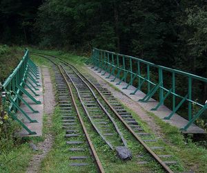 Cisna - wieś na Podkarpaciu, którą w swoim pamiętniku opisał Aleksander Fredro 