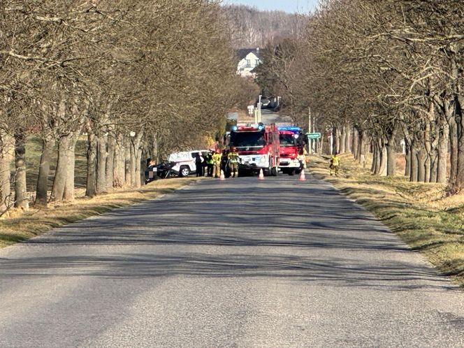 Śmiertelny wypadek pod Nysą. Cztery osoby zginęły po uderzeniu w drzewo [ZDJĘCIA]