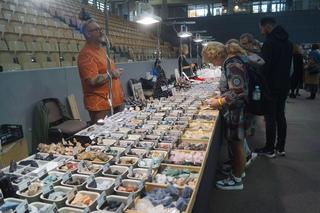 Giełda Minerałów, Biżuterii i Skamieniałości Geo Expo 2023 w Bydgoszczy. Tłumy w SISU Arenie [ZDJĘCIA]