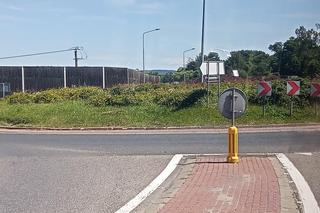 Rondo Małysza w Cedzynie koło Kielc