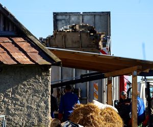 Potworny los zwierząt w Idzbarku. To była umieralnia. Gospodarz usłyszał zarzuty!