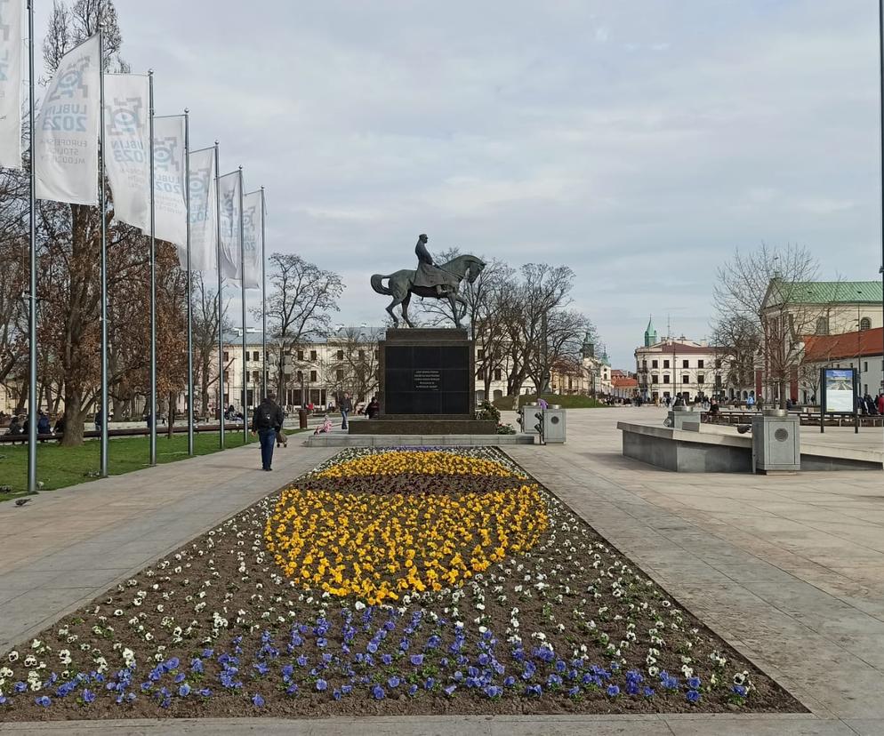 Wiosenne nasadzenia bratków w centrum Lublina