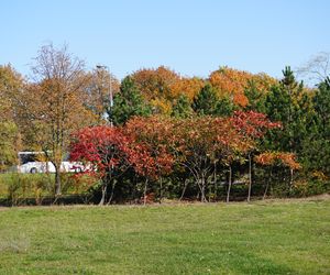 Park im. św. Jana Pawła II w jesiennych barwach