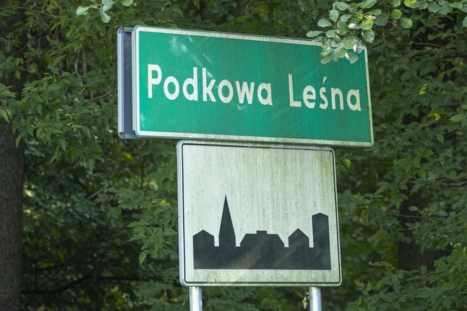 Podkowa Leśna