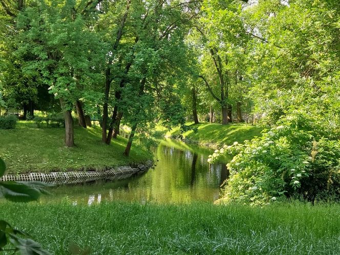 Park Miejski w Zamościu
