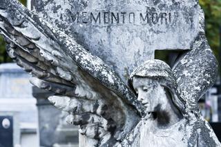 Ożywiające w miarę umierania