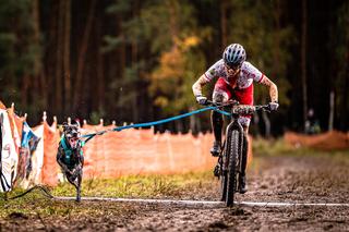 Polacy dominują na Mistrzostwach Świata Psich Zaprzęgów w Niemczech 