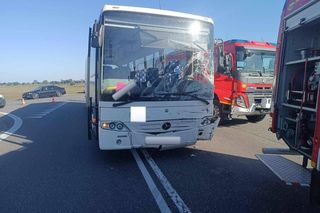 Śmiertelny wypadek na DK5. Toyota wjechała pod autobus. 27-latka nie żyje